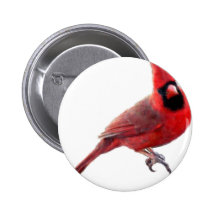 Cardenales Pin