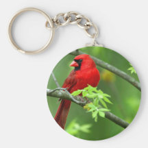 Cardenales septentrionales llavero