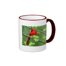 Cardenales septentrionales taza de café