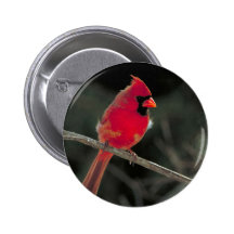 Cardinal Pins