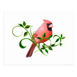 Cardinal Postal