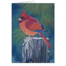 Cardinal Tarjetas