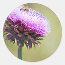 "Cardo con la colección de la abeja" Etiqueta