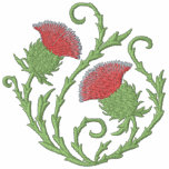 Cardo escocés