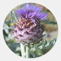 Cardo Etiqueta