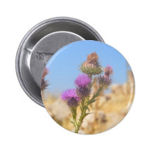 Cardo salvaje pins