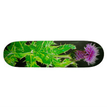 Cardo Skatedeck Patin