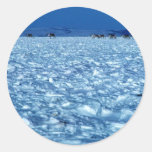 Caribú que cruza la tundra nevosa etiquetas redondas