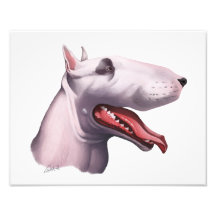 Caricatura de bull terrier del inglés fotografias