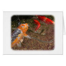 Carpa 9Y789D-403 de Koi Tarjeton