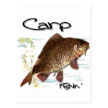 Carpa Fishin Tarjeta Postal