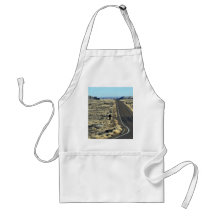 Carretera a través del desierto pintado, Arizona,  Delantal