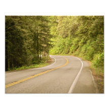 Carretera del bosque fotografias