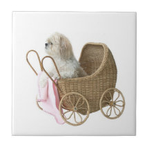 Carro de bebé de Shih Tzu Azulejo Cerámica