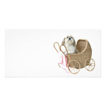 Carro de bebé de Shih Tzu Tarjetas Personales