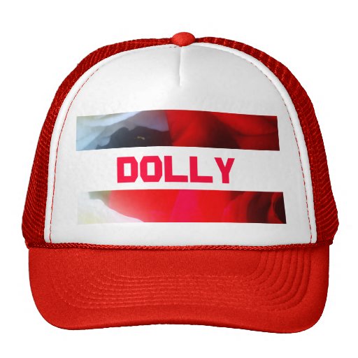 Carro Gorros Bordados