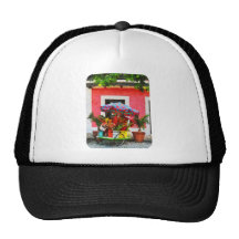 Carro San Juan, Puerto Rico de la flor Gorro