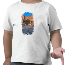 Carro traído por caballo en la plaza de Espana ade Camiseta