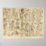 Carta anatómica de Cyclopaedia 1728 Poster