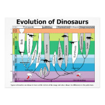 Carta de la evolución de dinosaurios comunicado personal  