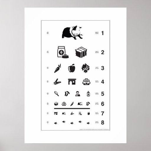 Carta de ojo del conejillo de Indias Poster