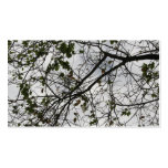 Cartão de visitas - Céu de Primavera