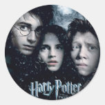 Cartel de película de Harry Potter Etiqueta