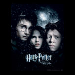 Cartel de película de Harry Potter posters