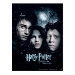 Cartel de película de Harry Potter Tarjetas Postales