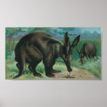 Cartera del Aardvark Posters