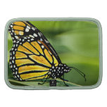 Cartera del diseño de la mariposa de monarca planificadores