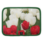 Cartera roja y blanca de los tulipanes organizadores
