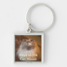 Casa del gato llaveros personalizados