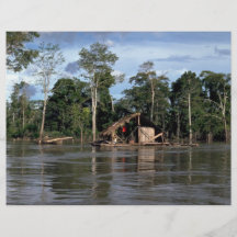 Casa en el río Amazonas superior, Perú Tarjeton