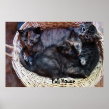Casa llena poster