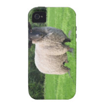 Casamata Tough™ del iPhone 4 de Sheal iPhone 4/4S Funda