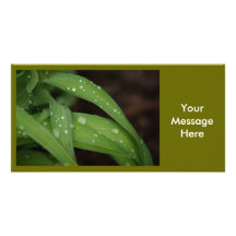 ¡Casar invitaciones nupciales de la tarjeta de la  Tarjeta Personal