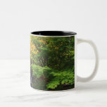Cascada borrosa de la roca, árboles verdes y anara tazas de café