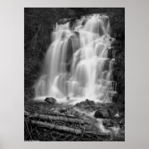 Cascada BW del parque nacional del Monte Rainier Posters