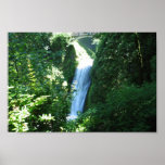 Cascada cerca del río Columbia Poster