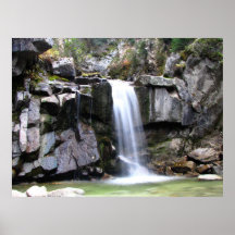 Cascada de Alaska de la selva de AJW Poster
