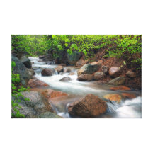 Cascada de la primavera lienzo envuelto para galerías
