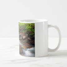 Cascada de la primavera taza
