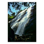 Cascada debajo del árbol grande tarjeta