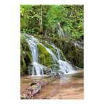 Cascada del agua en el bosque fotografía  
