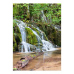 Cascada del agua en el bosque anuncios personalizados
