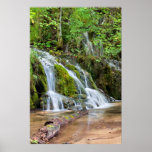 Cascada del agua en el bosque posters