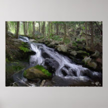 Cascada del arbolado posters