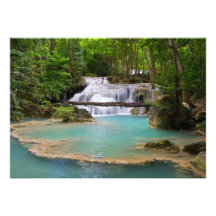 Cascada en bosque tropical anuncio personalizado