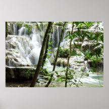 Cascada en la selva impresiones